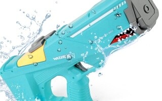 Swiss Politician Fined for Water Guns Purchase