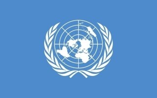 UN Report Highlights Human Rights Violations in Gaza