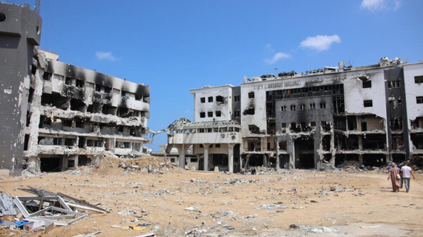 WHO Chief Warns on Gaza Health System Rebuild