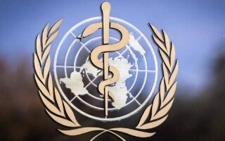 ВОЗ оценивает риски птичьего гриппа H5N1